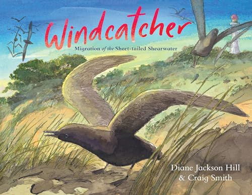 9781486309870: Windcatcher: Migration of the Short-tailed Shearwater