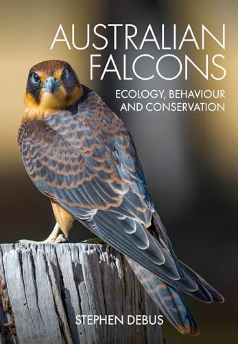 Beispielbild fr Australian Falcons: Ecology, Behaviour and Conservation zum Verkauf von Books From California