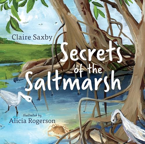 Stock image for Secrets of the Saltmarsh (Hardcover) for sale by Grand Eagle Retail