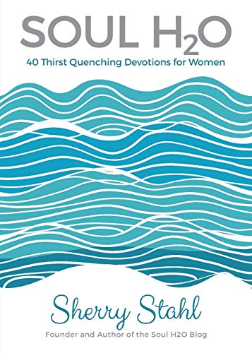 Beispielbild fr Soul H2O : 40 Thirst Quenching Devotions for Women zum Verkauf von Better World Books
