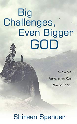 Imagen de archivo de Big Challenges, Even Bigger God: Finding God Faithful in the Hard Moments of Life a la venta por Blue Vase Books