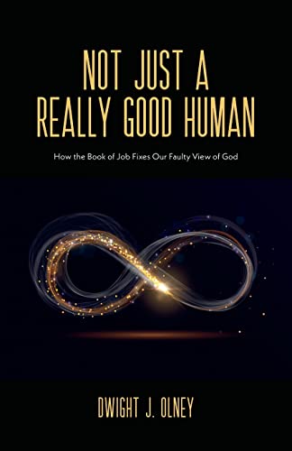 9781486621958: Not Just a Really Good Human: How the Book of Job Fixes Our Faulty View of God