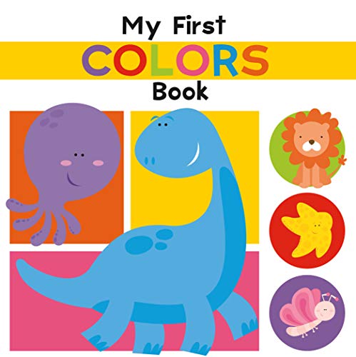 Imagen de archivo de My First Colors Book: Illustrated (First Concepts) a la venta por Your Online Bookstore