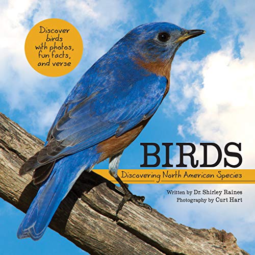 Stock image for Birds: Discovering North American Species (My Wonderful World) for sale by Gulf Coast Books