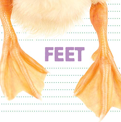 Stock image for Feet for sale by Better World Books