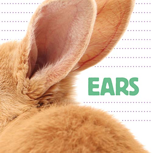 Stock image for Ears (Whose Is It?) for sale by ZBK Books