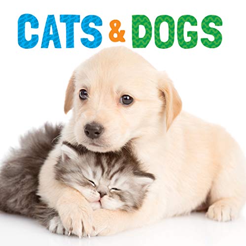 Beispielbild fr Cats and Dogs zum Verkauf von Better World Books