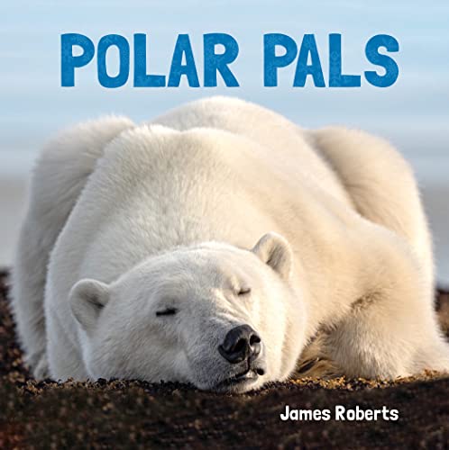 Stock image for Polar Pals (Animal Lovers) for sale by SecondSale
