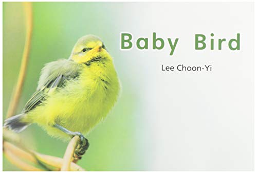 Stock image for Savvas, Rubicon: myView Literacy, Grade K: Baby Bird, Level A, Leveled Reader (2020 Copyright) for sale by ~Bookworksonline~