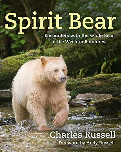 Beispielbild fr Spirit Bear : Encounters with the White Bear of the Western Rainforest zum Verkauf von Better World Books