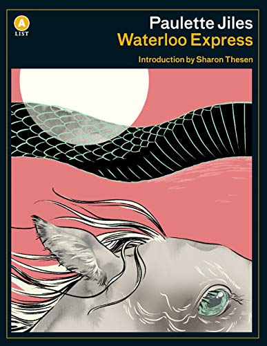 Beispielbild fr Waterloo Express (A List) zum Verkauf von WorldofBooks
