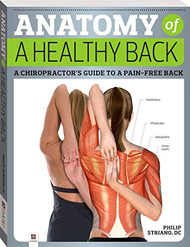 Beispielbild fr Anatomy Of A Healthy Back zum Verkauf von WorldofBooks