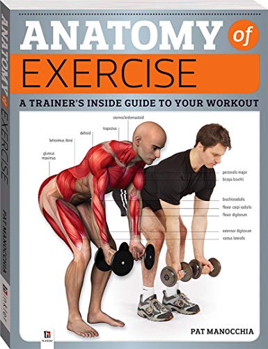 Stock image for Anatomy of Exercise for sale by Goldstone Books