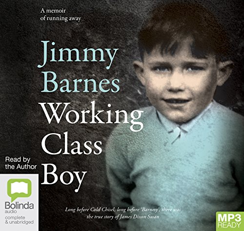 Imagen de archivo de Working Class Boy a la venta por THE SAINT BOOKSTORE