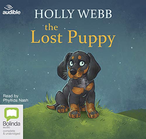 Stock image for The Lost Puppy for sale by Ria Christie Collections