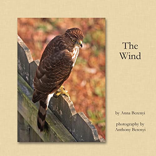 9781489535870: The Wind