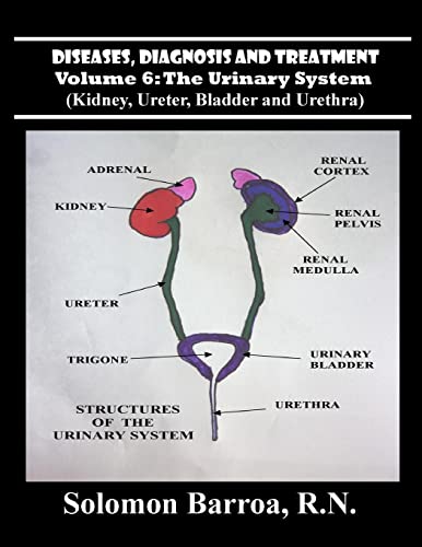 Stock image for Diseases, Diagnosis and Treatment (The Urinary System) for sale by Lucky's Textbooks
