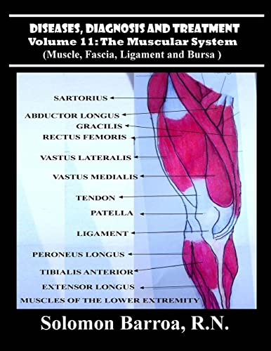 Stock image for Diseases, Diagnosis and Treatment (The Muscular System) for sale by California Books
