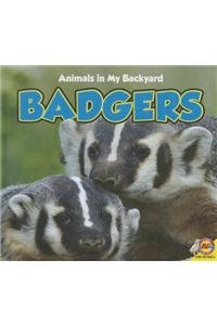 9781489605368: Badgers (Animals in My Backyard)