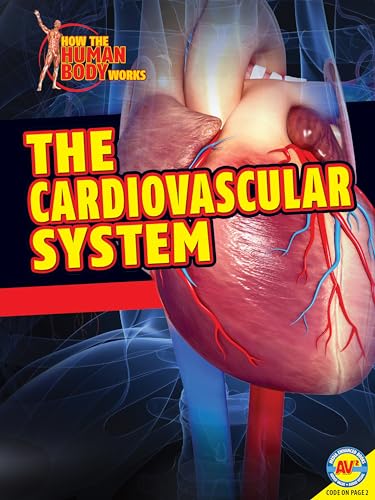 9781489611628: The Cardiovascular System (How the Human Body Works)