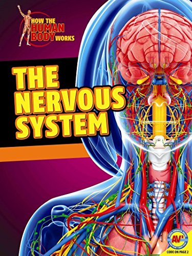 9781489611741: The Nervous System (How the Human Body Works)
