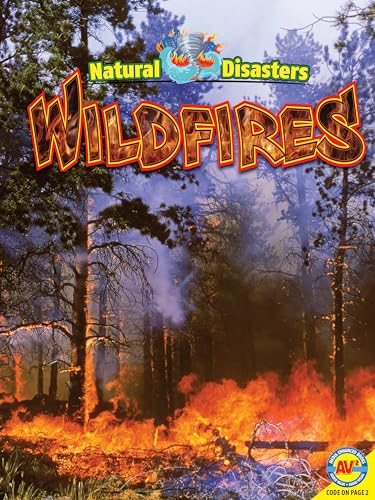 9781489612229: Wildfires (Natural Disasters)