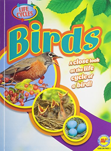 9781489618993: Birds (Life Cycles)