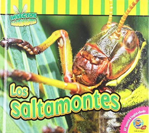 9781489620873: Los Saltamontes (Insectos Fascinantes)