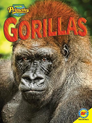 9781489628794: Gorillas (Amazing Primates)