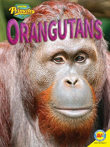 9781489628862: Orangutans (Amazing Primates)