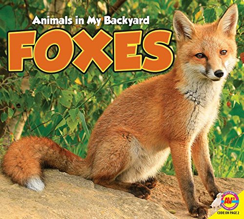 9781489629425: Foxes (Animals in My Backyard)