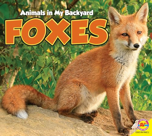 9781489629432: Foxes (Animals in My Backyard)