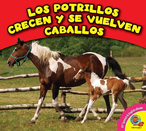 Stock image for Los Potrillos Crecen y Se Vuelven Caballos for sale by ThriftBooks-Dallas