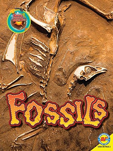 Imagen de archivo de Fossils (Focus on Earth Science) a la venta por SecondSale