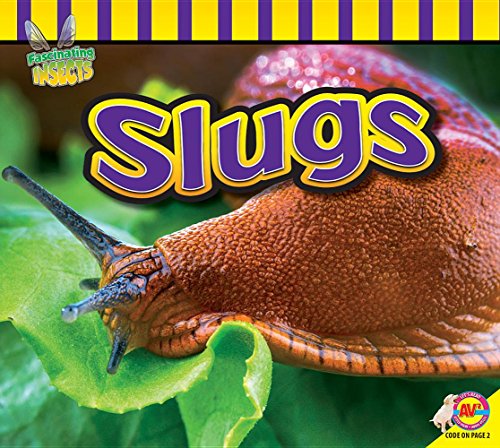 9781489642370: Slugs (Fascinating Insects)