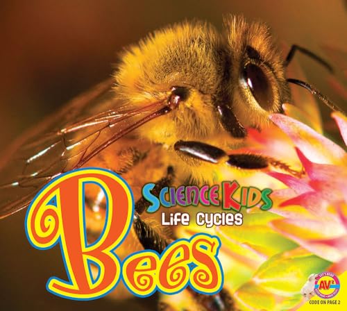 Imagen de archivo de Bees (Science Kids Life Cycles) a la venta por Half Price Books Inc.