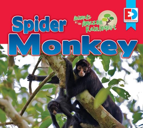 9781489645715: Animals of the Amazon Rainforest: Spider Monkey (Animals of the Amazon Rainforest, 17)