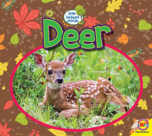 Imagen de archivo de Deer (Little Backyard Animals) a la venta por HPB Inc.