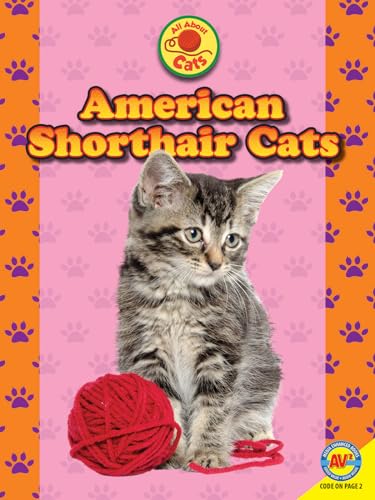 9781489656209: American Shorthair Cats (Av2 All About Cats)