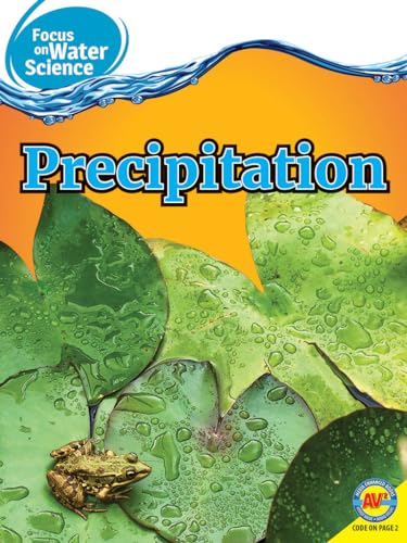 9781489657985: Precipitation (Av2 Focus on Water Science)