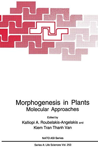 Beispielbild fr Morphogenesis in Plants: Molecular Approaches zum Verkauf von Revaluation Books