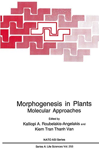 Stock image for Morphogenesis in Plants: Molecular Approaches for sale by Revaluation Books