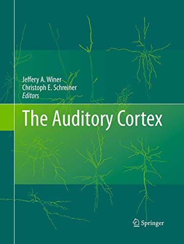 9781489977496: The Auditory Cortex