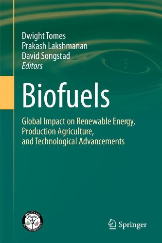 Imagen de archivo de Biofuels: Global Impact on Renewable Energy, Production Agriculture, and Technological Advancements a la venta por Lucky's Textbooks