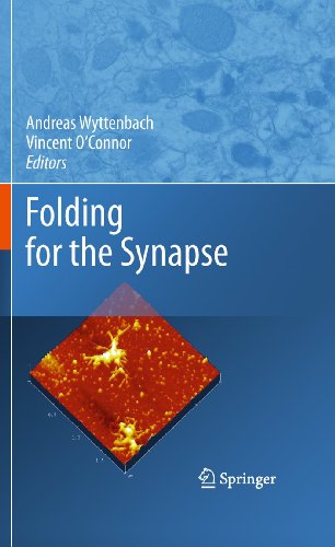 Stock image for Folding for the Synapse for sale by Ria Christie Collections