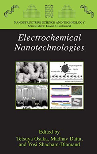 Stock image for Electrochemical Nanotechnologies for sale by Ria Christie Collections