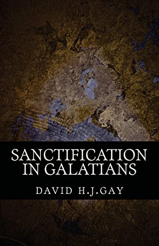 9781490321202: Sanctification in Galatians: Volume 1 (Brachus Sanctification Series)