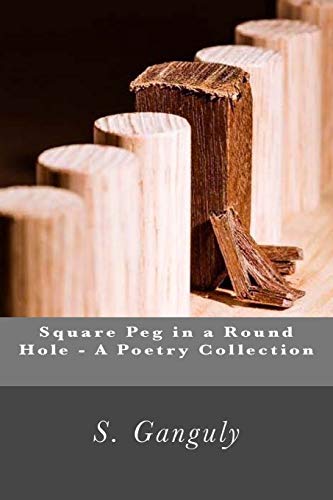 9781490336626: Square Peg in a round hole - A poetry collection