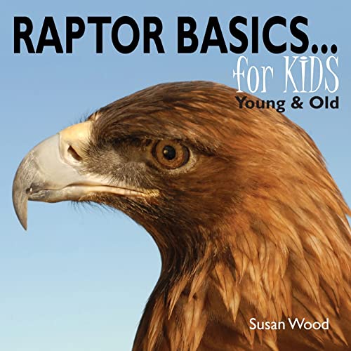 Imagen de archivo de Raptor Basics for Kids a la venta por Wonder Book