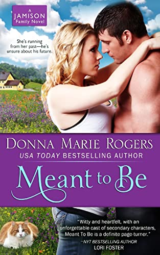 9781490482897: Meant To Be (Jamison Series)